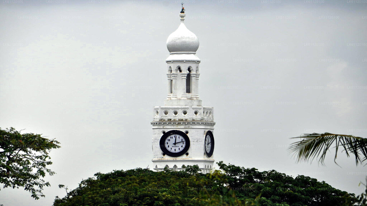 Jaffna bytur