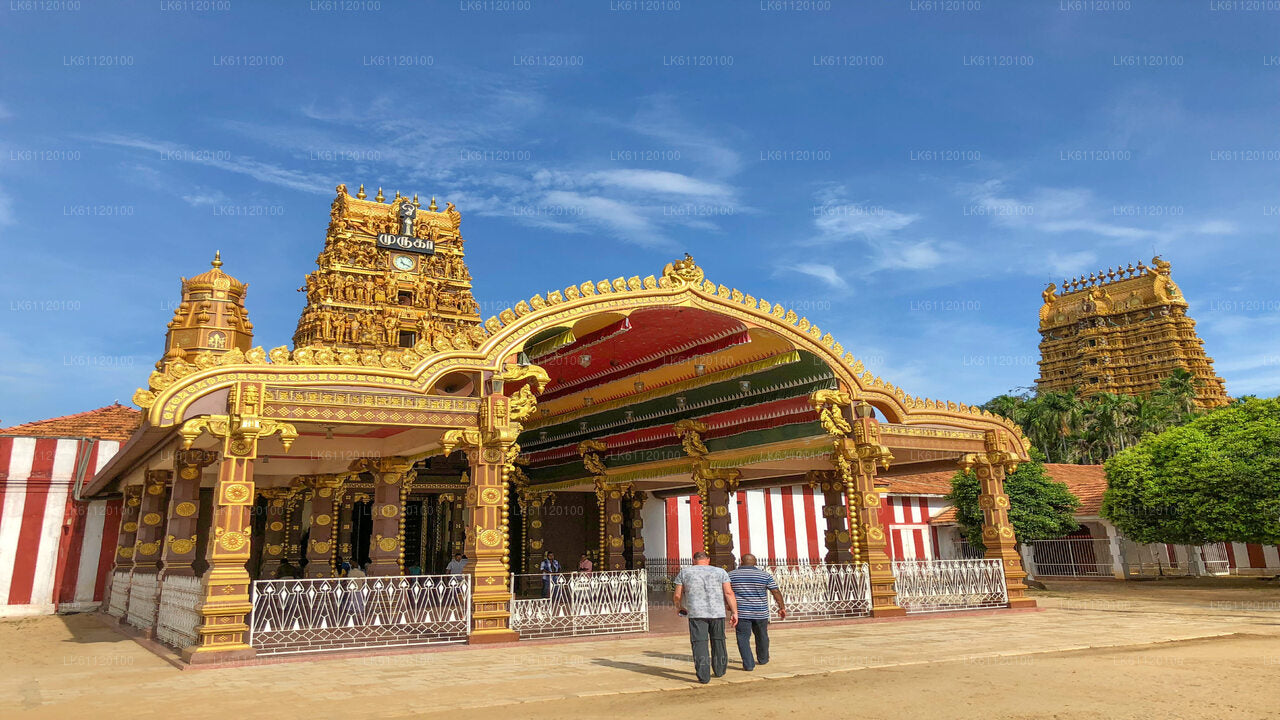 Jaffna bytur