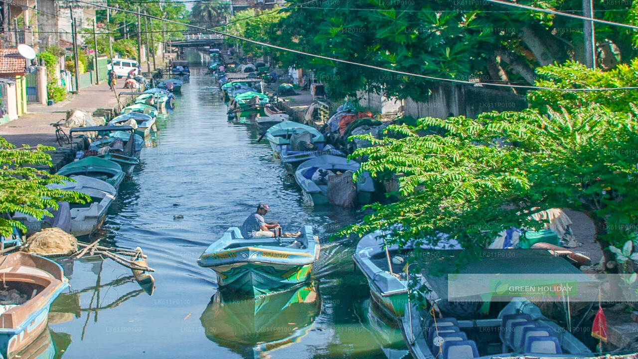 Negombo bytur fra Colombo havn