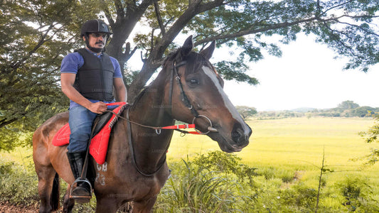 Ridetur rundt i en landsby fra Sigiriya