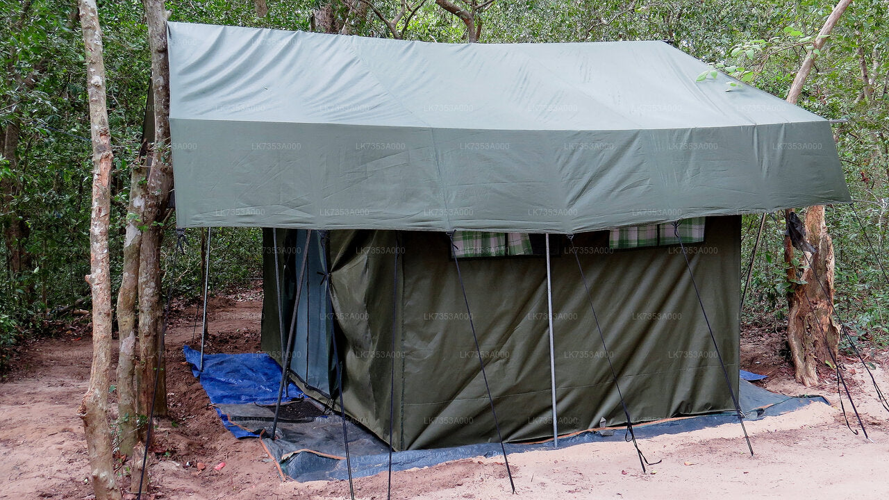 Beach Camping at Panama