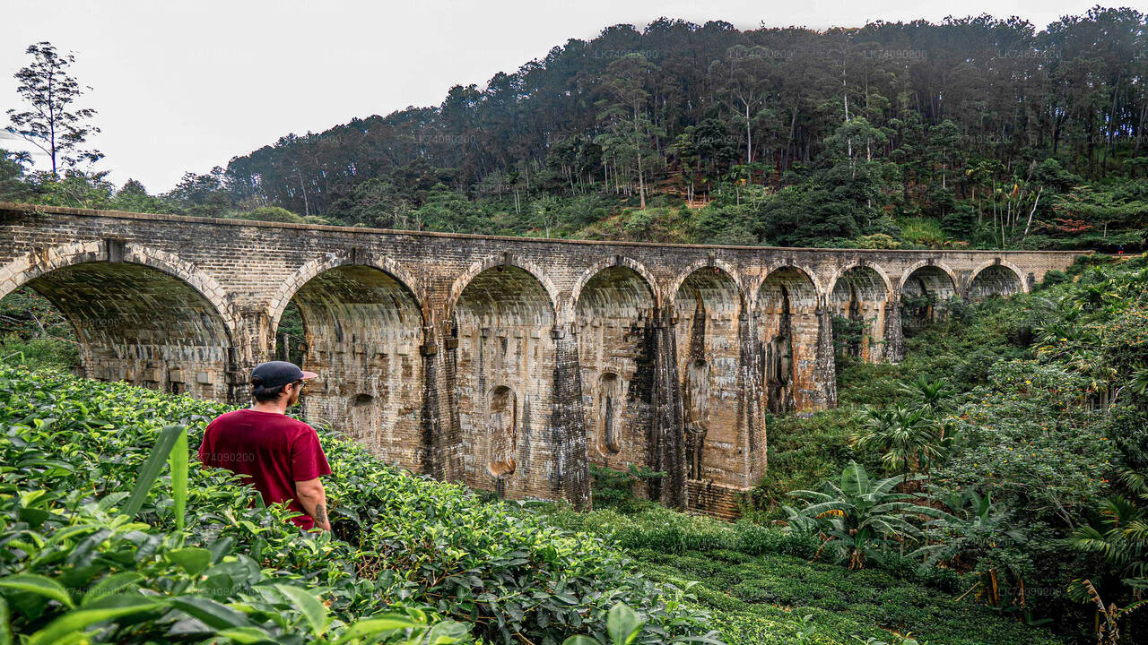 Vandretur til Little Adam's Peak og Nine Arches Bridge fra Ella