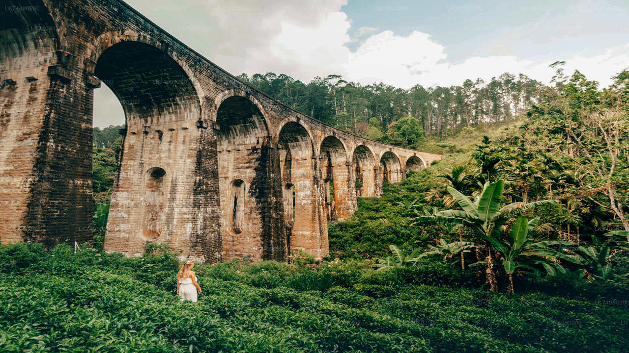 Vandretur til Little Adam's Peak og Nine Arches Bridge fra Ella
