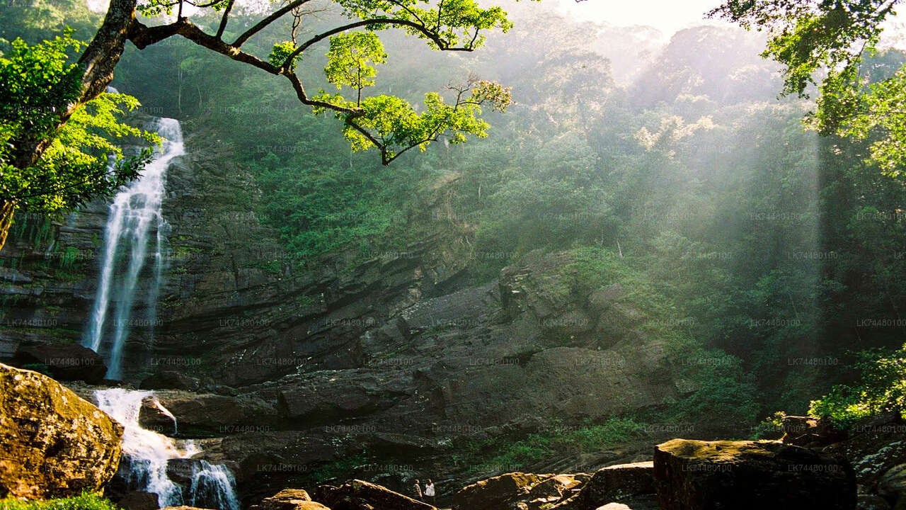 Sinharaja Rainforest Walk