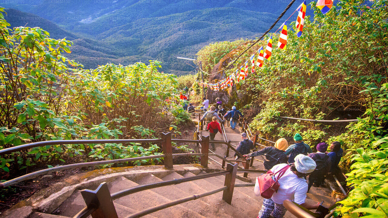 Natvandring til Adam's Peak