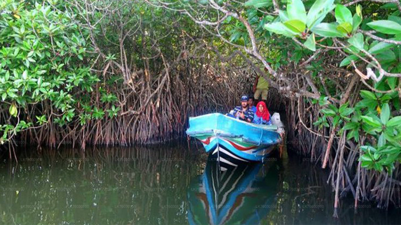 Madu River Safari and Turtle Hatchery from Kosgoda