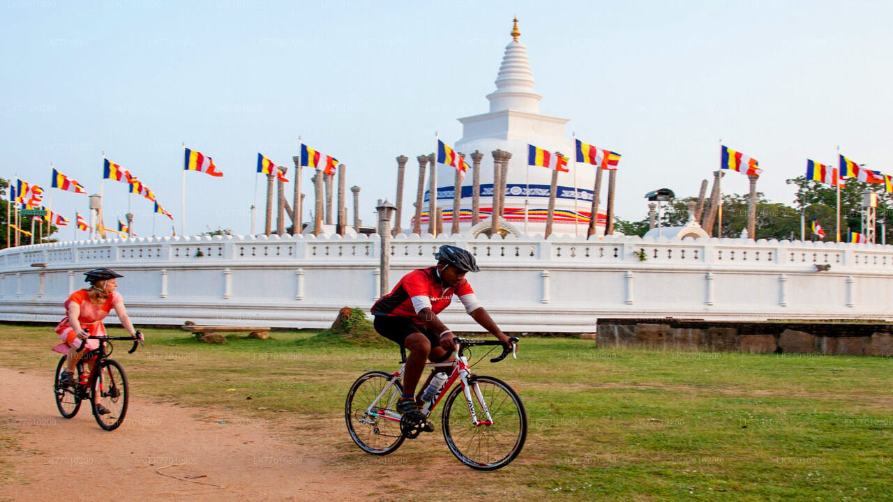 Cykeltur til hollandske fodspor fra Colombo