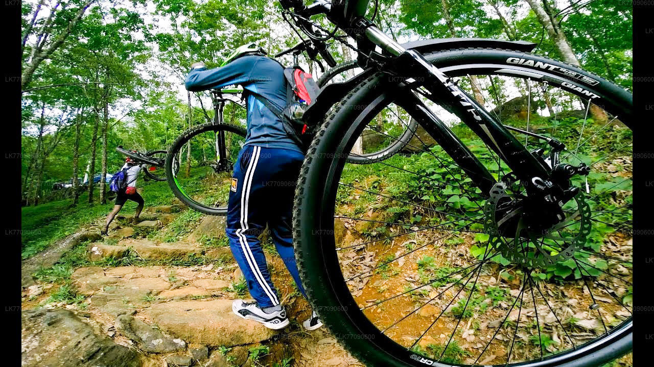Oplev Ella på cykel fra Ella