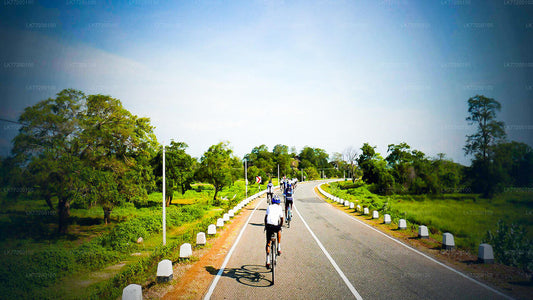 A group of people cycling on a road with greenery on both sides, a blue sky, and a red and white signpost in the background.