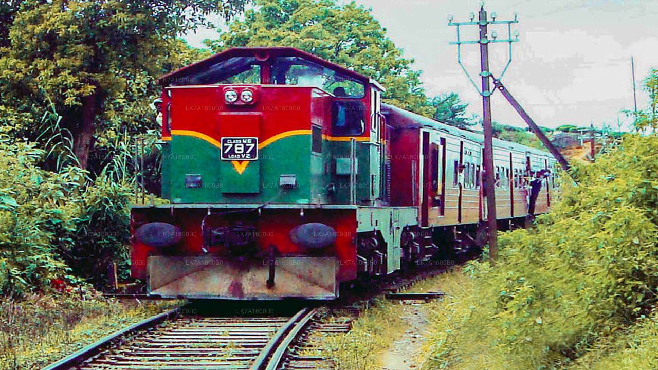 Togtur fra Colombo til Nanu Oya (tog № 1015 "Udarata Menike")