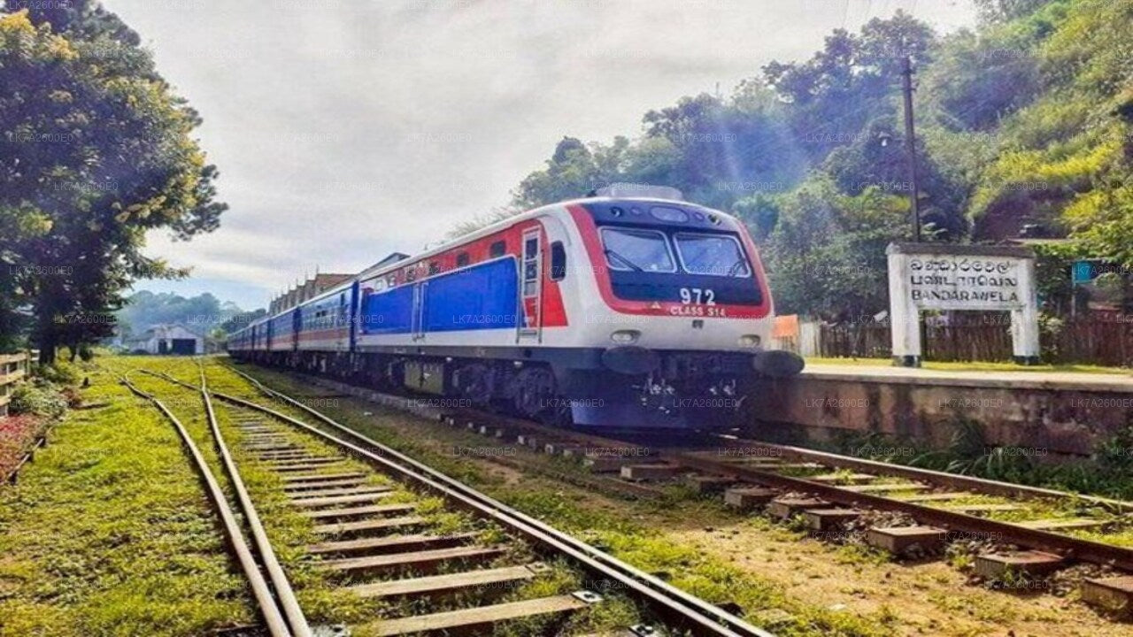Togtur fra Peradeniya til Badulla (tog nr.: 1001 "Denuwara Menike")
