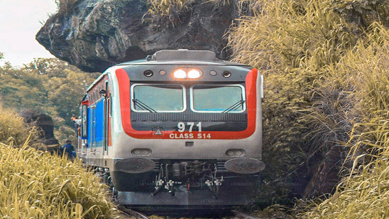 Togtur fra Peradeniya til Badulla (tog nr.: 1001 "Denuwara Menike")