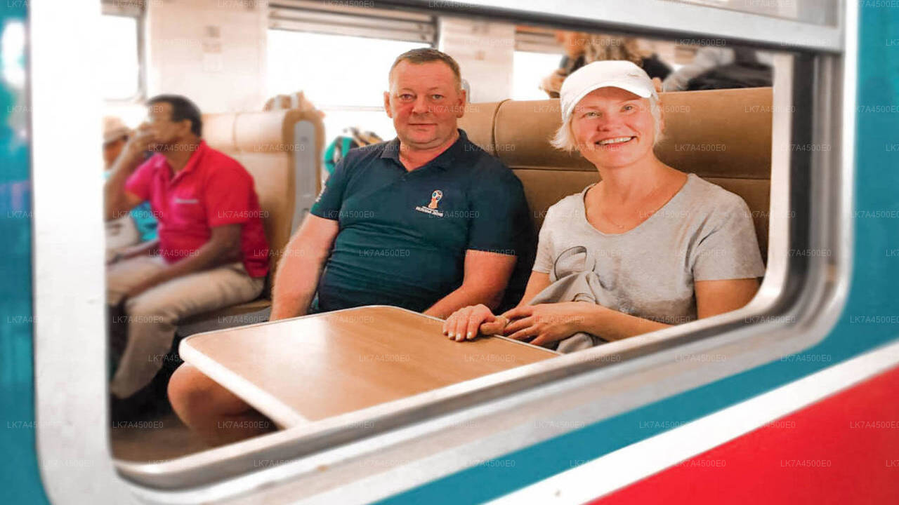 Togtur fra Nanu Oya til Ella (tog № 1001 "Denuwara Menike")