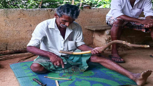 Bentota City Tour fra Colombo Havn