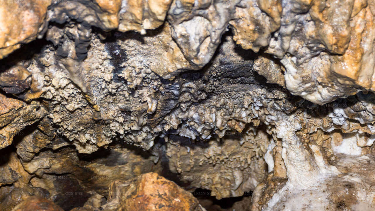 Udforsk Pannila Cave fra Colombo