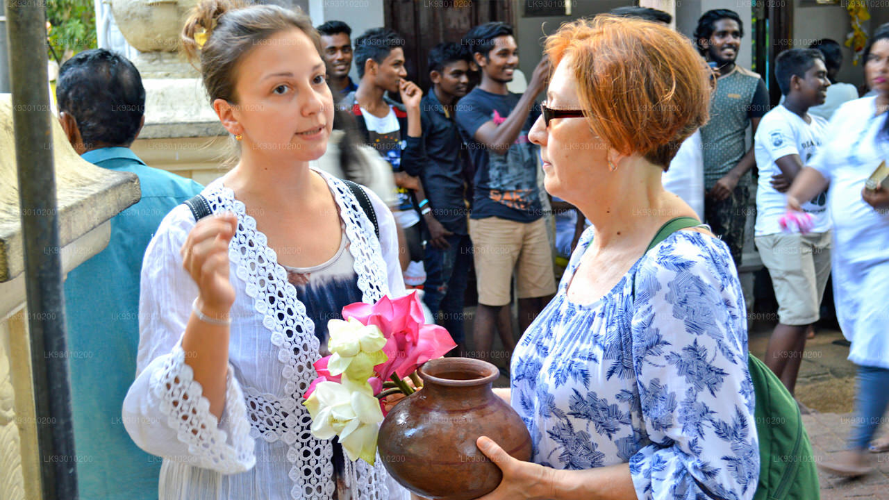 Colombo buddhistisk ikonografi oplevelse