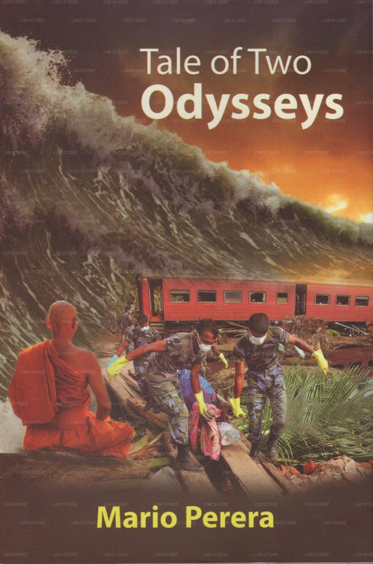 Tale of Two Odysseys